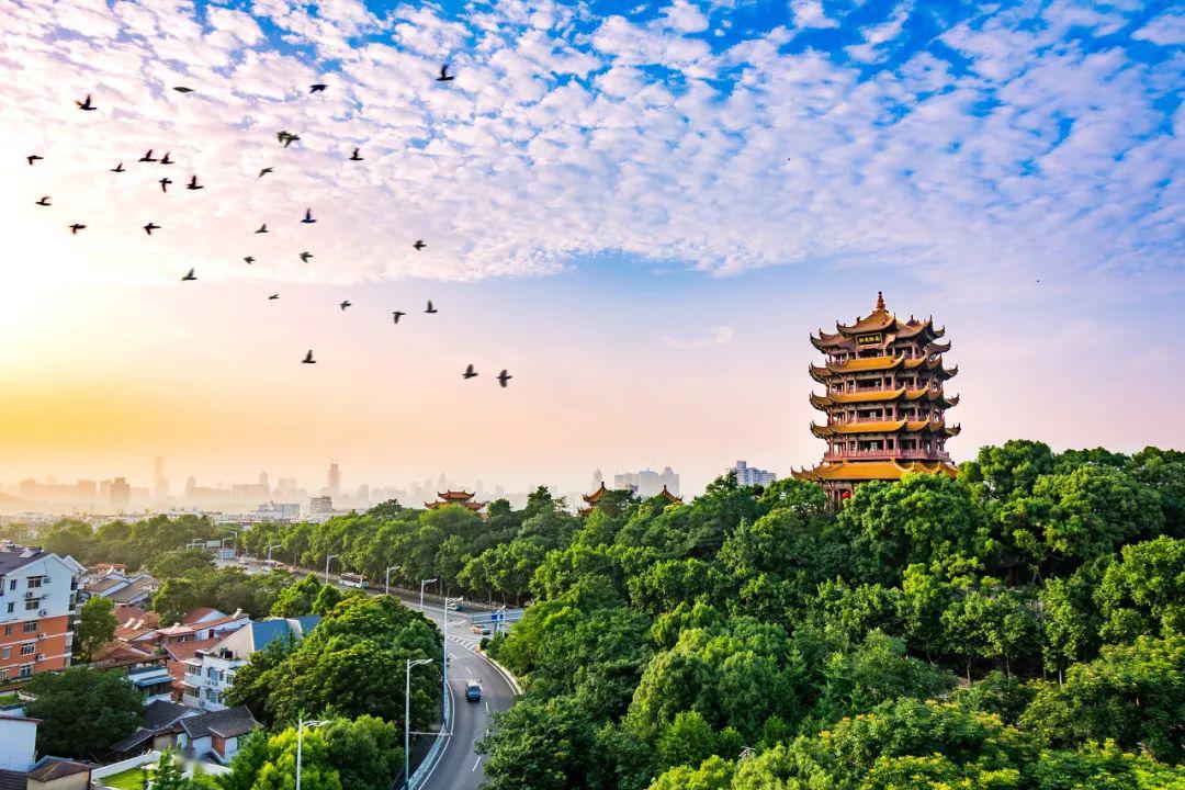楚天云&东升国际(中国游)官方网站 - 主页欢迎您流量可视化：云上湖北，安全上云